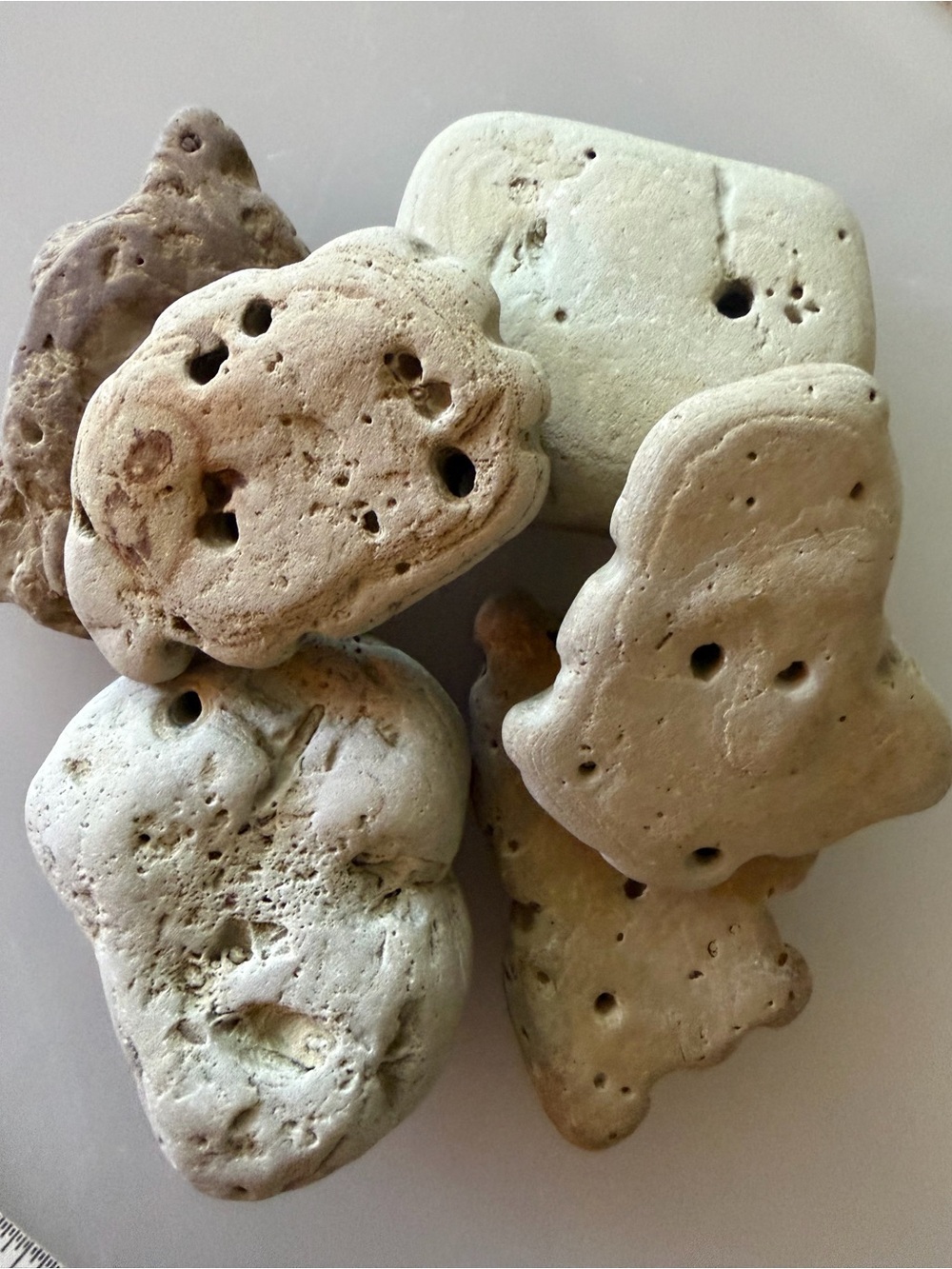 🪨6 Large Lake Michigan Hag Stones🪨 ~2.5”- 3.5”